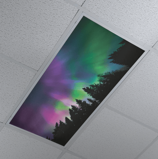 What are fluorescent light covers? - Apollo Design Made