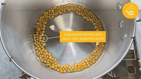 Apollo Popper - Stainless Steel - Apollo Design Made