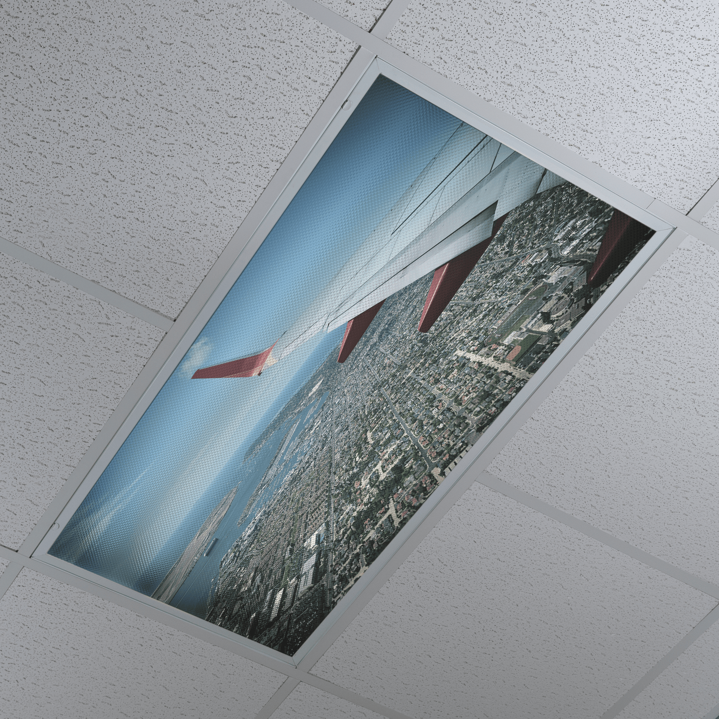 DesignScape - 2'x4' Airplane View 1 - Apollo Design Made