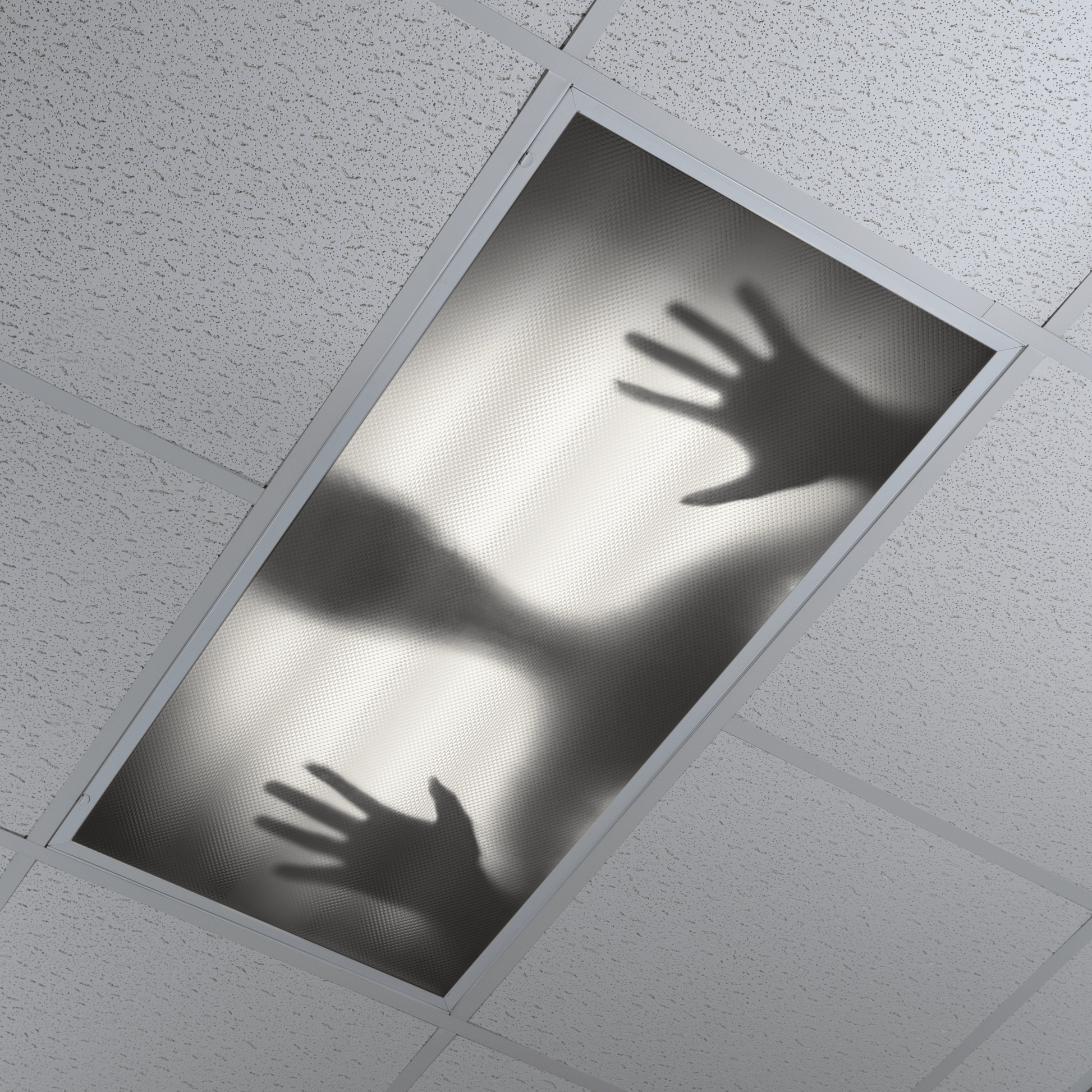 DesignScape - 2'x4' Alien Shadow - Apollo Design Made