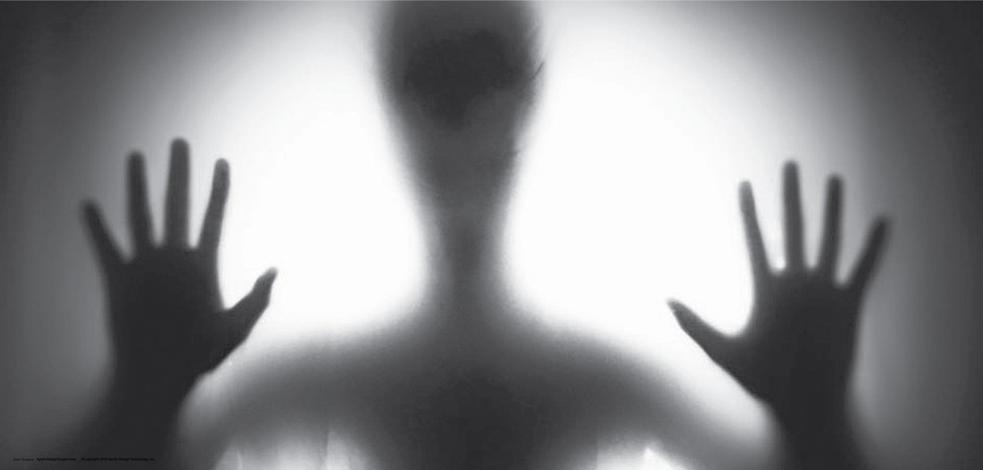 DesignScape - 2'x4' Alien Shadow - Apollo Design Made