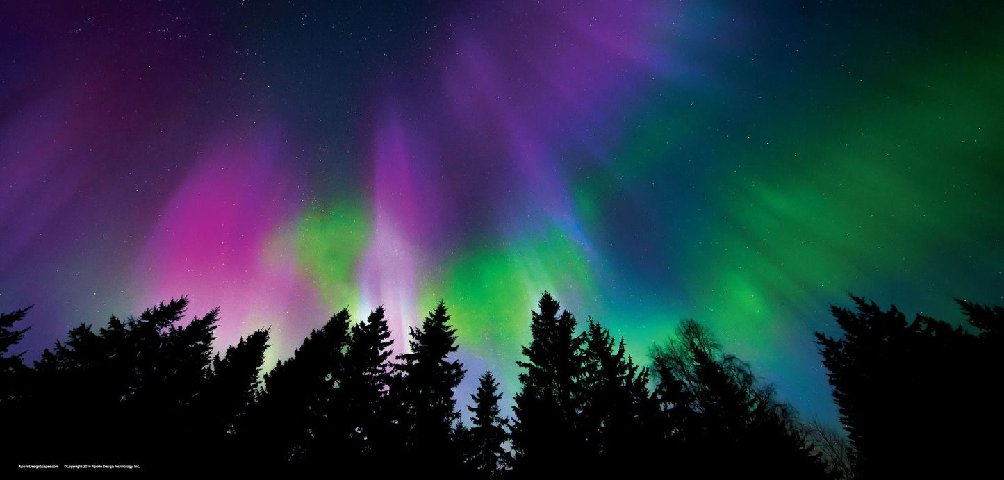DesignScape - 2'x4' Aurora Borealis - Apollo Design Made