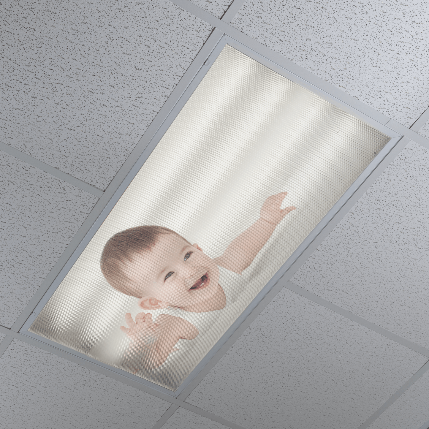 DesignScape - 2'x4' Baby - Apollo Design Made