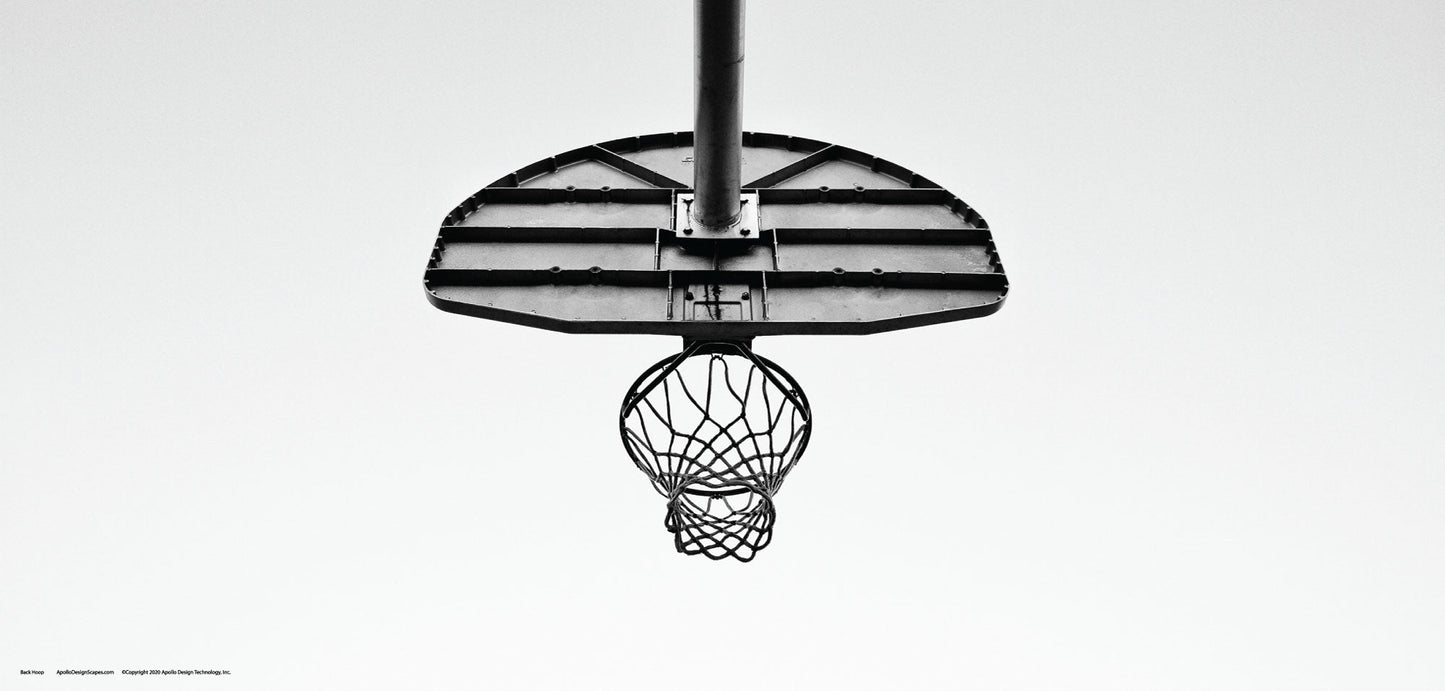 DesignScape - 2'x4' Back Hoop - Apollo Design Made