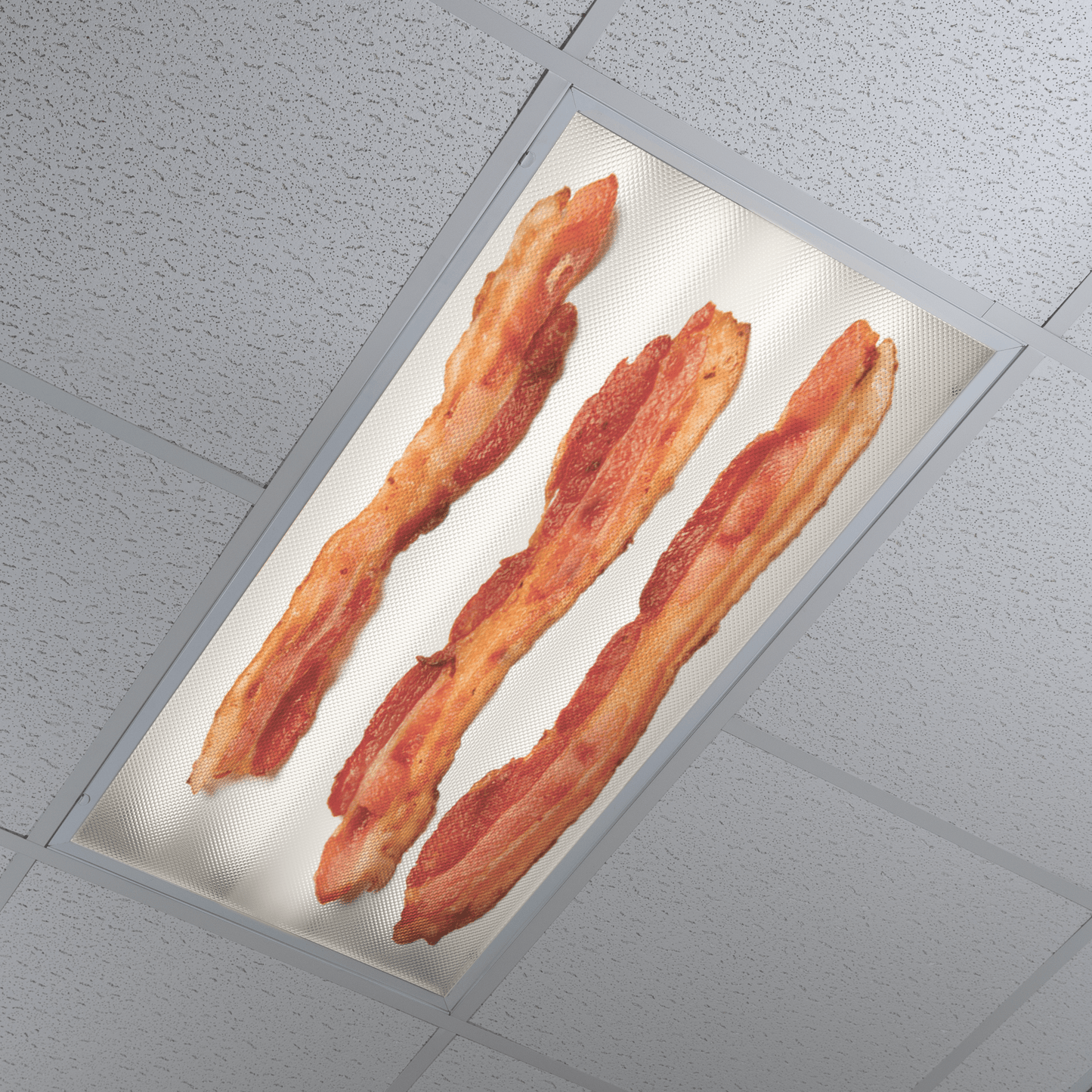 DesignScape - 2'x4' Bacon - Apollo Design Made