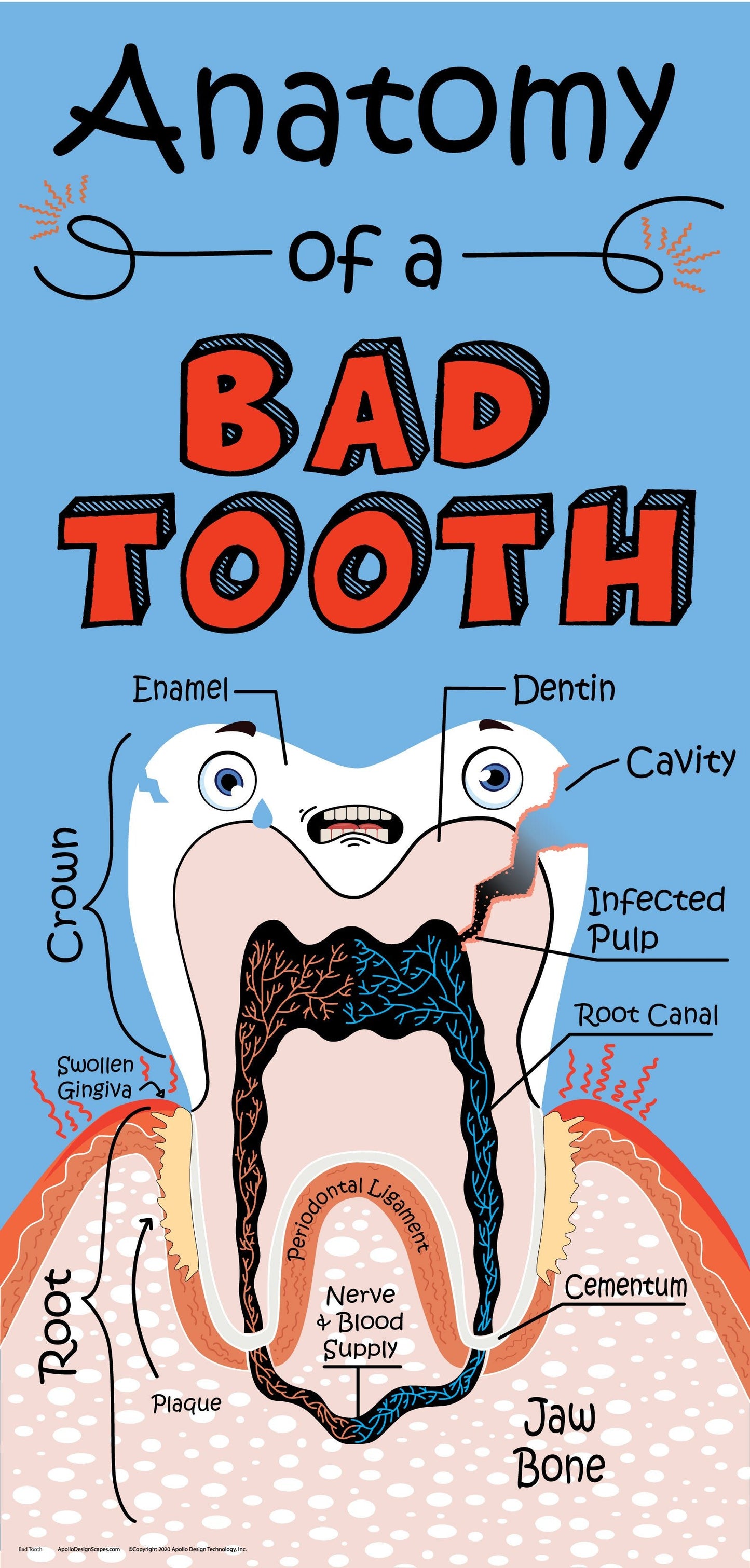 DesignScape - 2'x4' Bad Tooth - Apollo Design Made