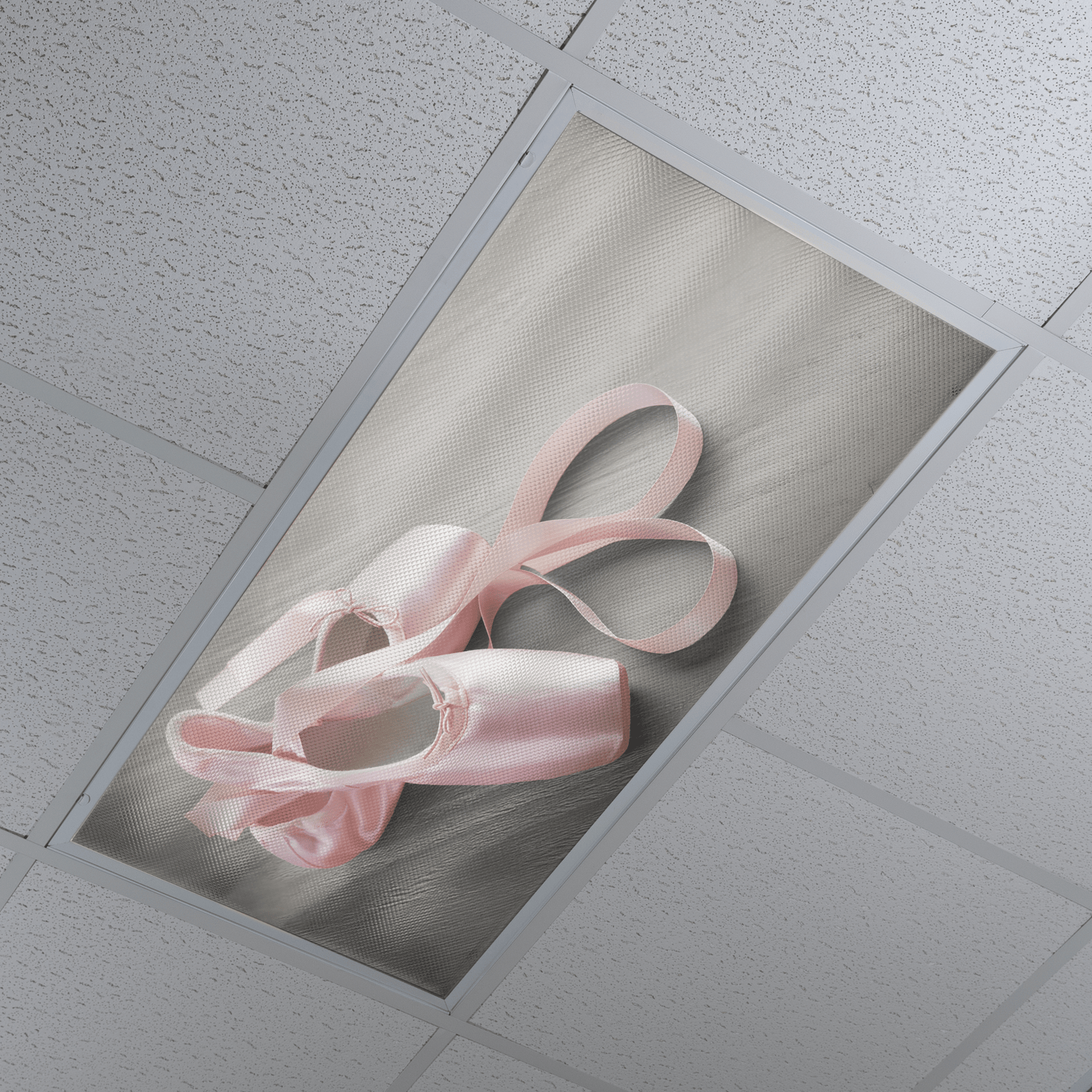 DesignScape - 2'x4' Ballet Slippers - Apollo Design Made