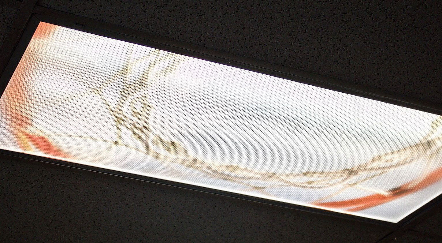 DesignScape - 2'x4' Basketball Rim - Apollo Design Made