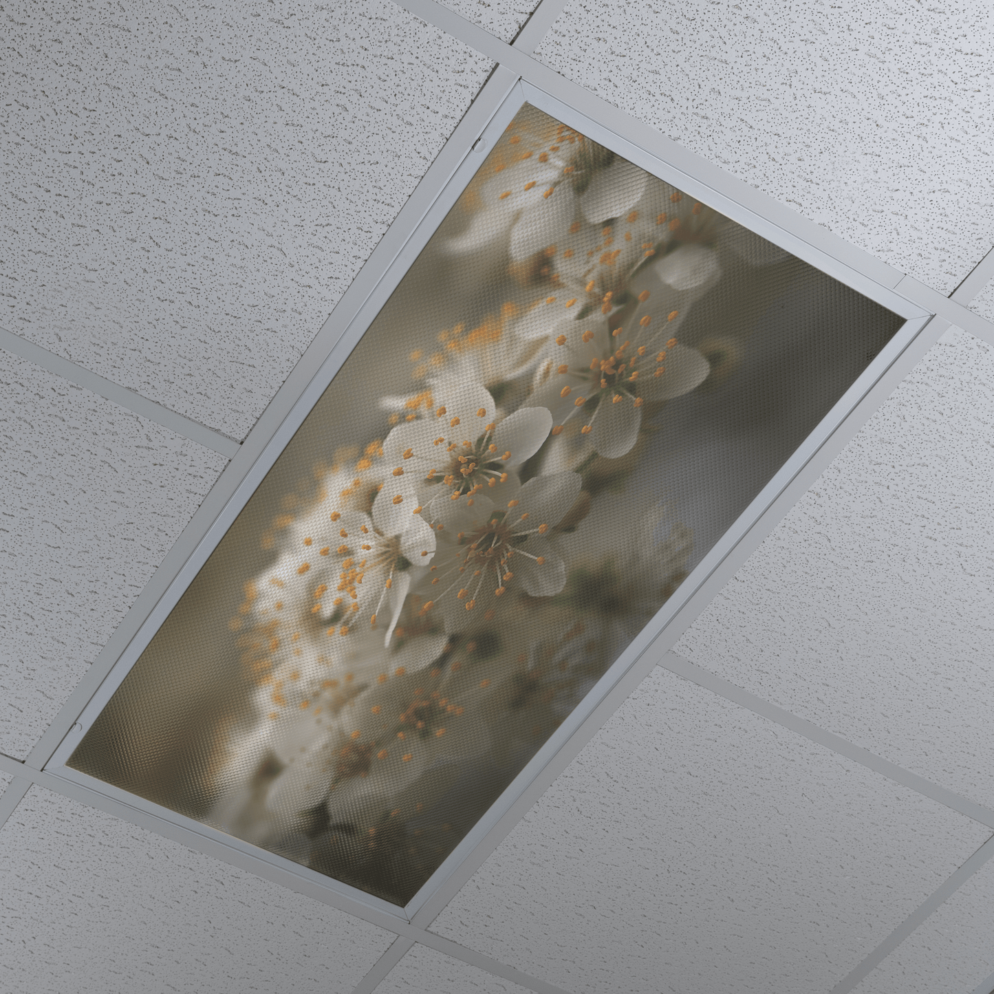 DesignScape - 2'x4' Beautiful Blossoms - Apollo Design Made