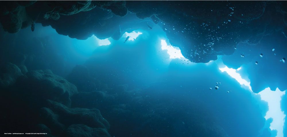 DesignScape - 2'x4' Below the Water - Apollo Design Made