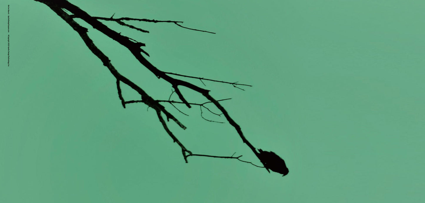 DesignScape - 2'x4' Bird on Branch - Apollo Design Made