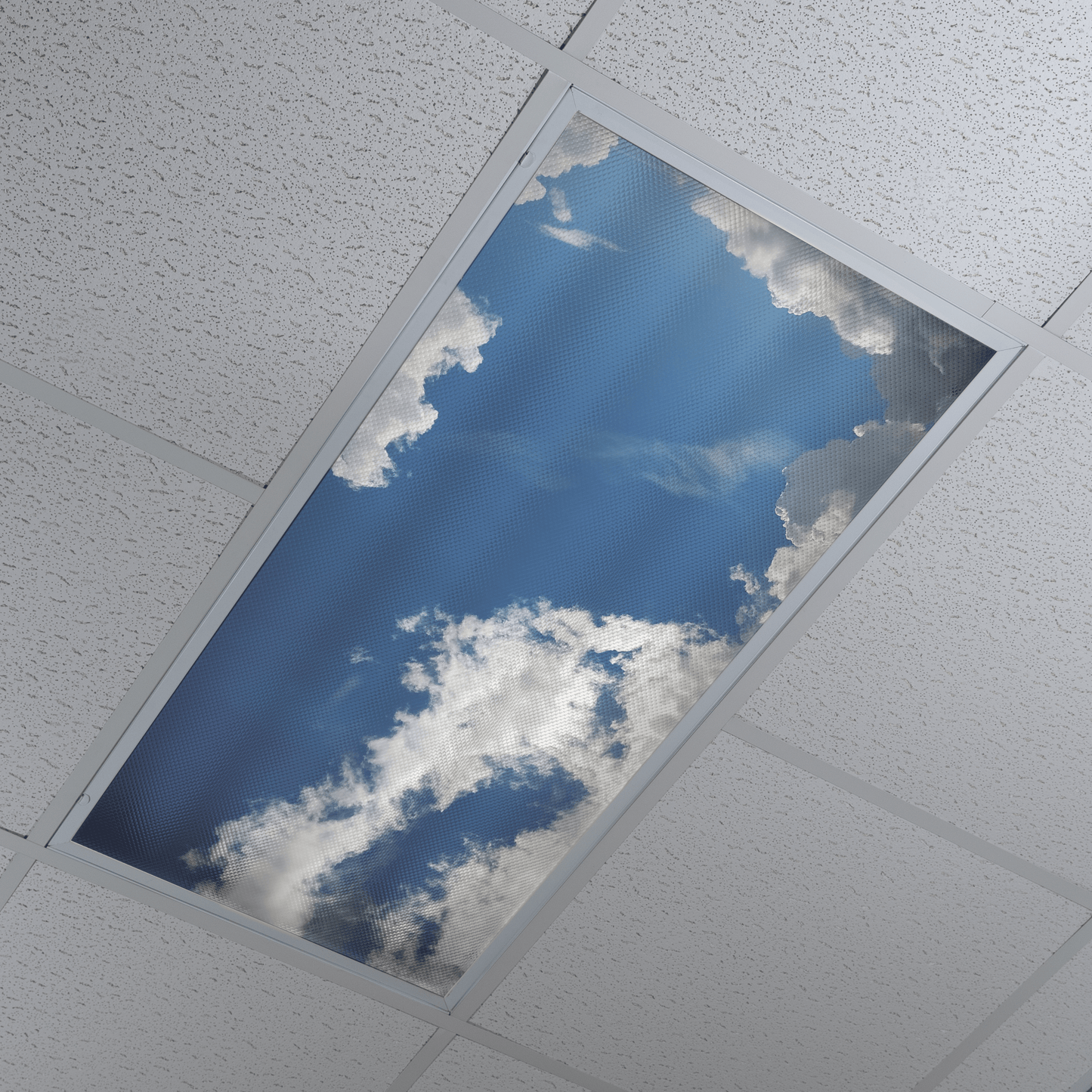 DesignScape - 2'x4' Blue Skies - Apollo Design Made