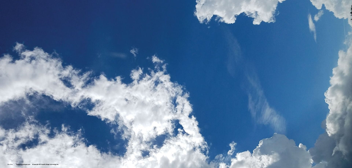 DesignScape - 2'x4' Blue Skies - Apollo Design Made