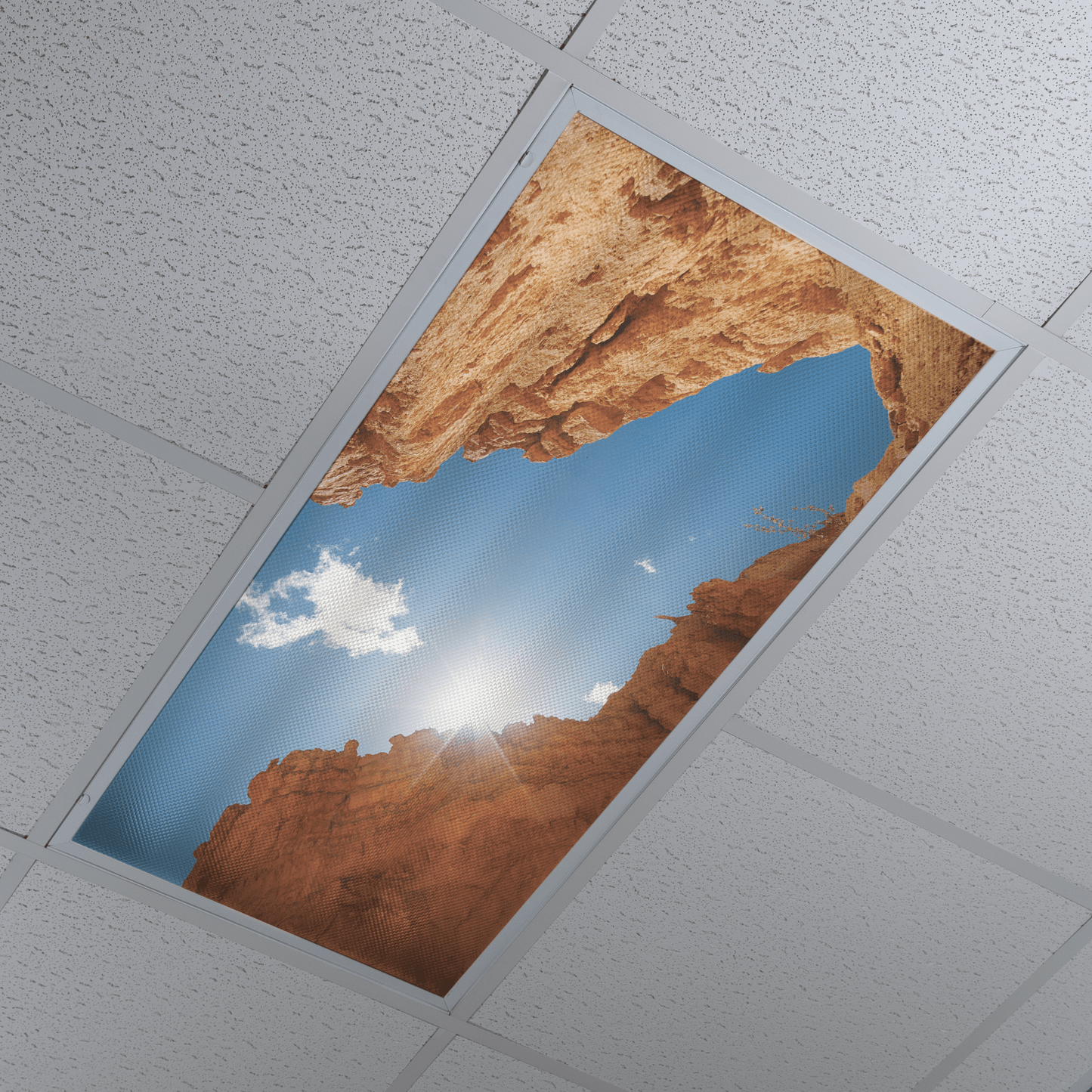 DesignScape - 2'x4' Canyon - Apollo Design Made