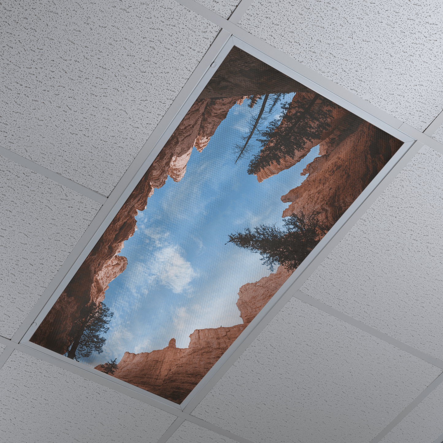 DesignScape - 2'x4' Canyon Bottom - Apollo Design Made