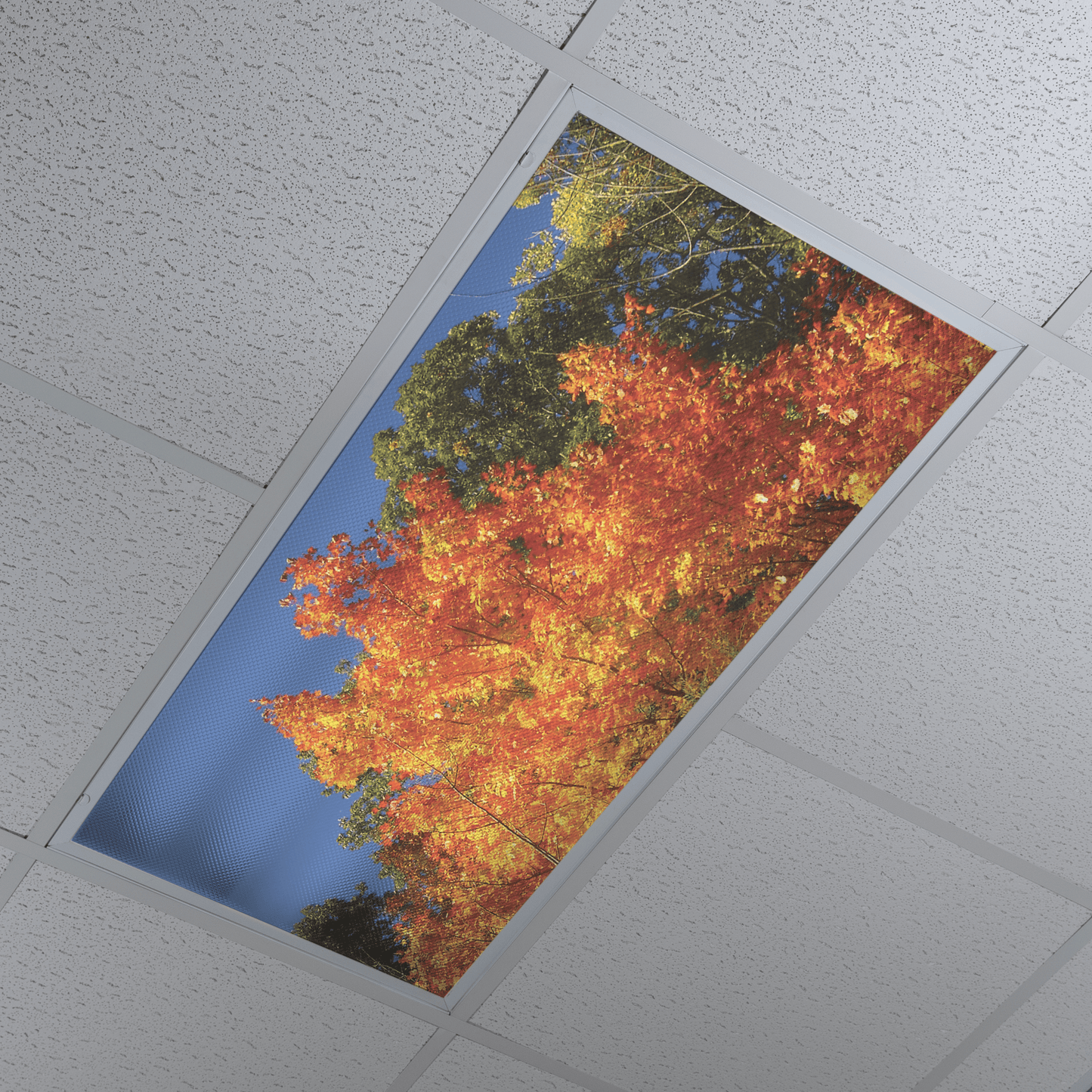 DesignScape - 2'x4' Changing Leaves - Apollo Design Made
