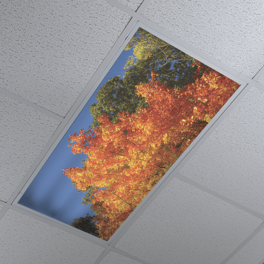 DesignScape - 2'x4' Changing Leaves - Apollo Design Made