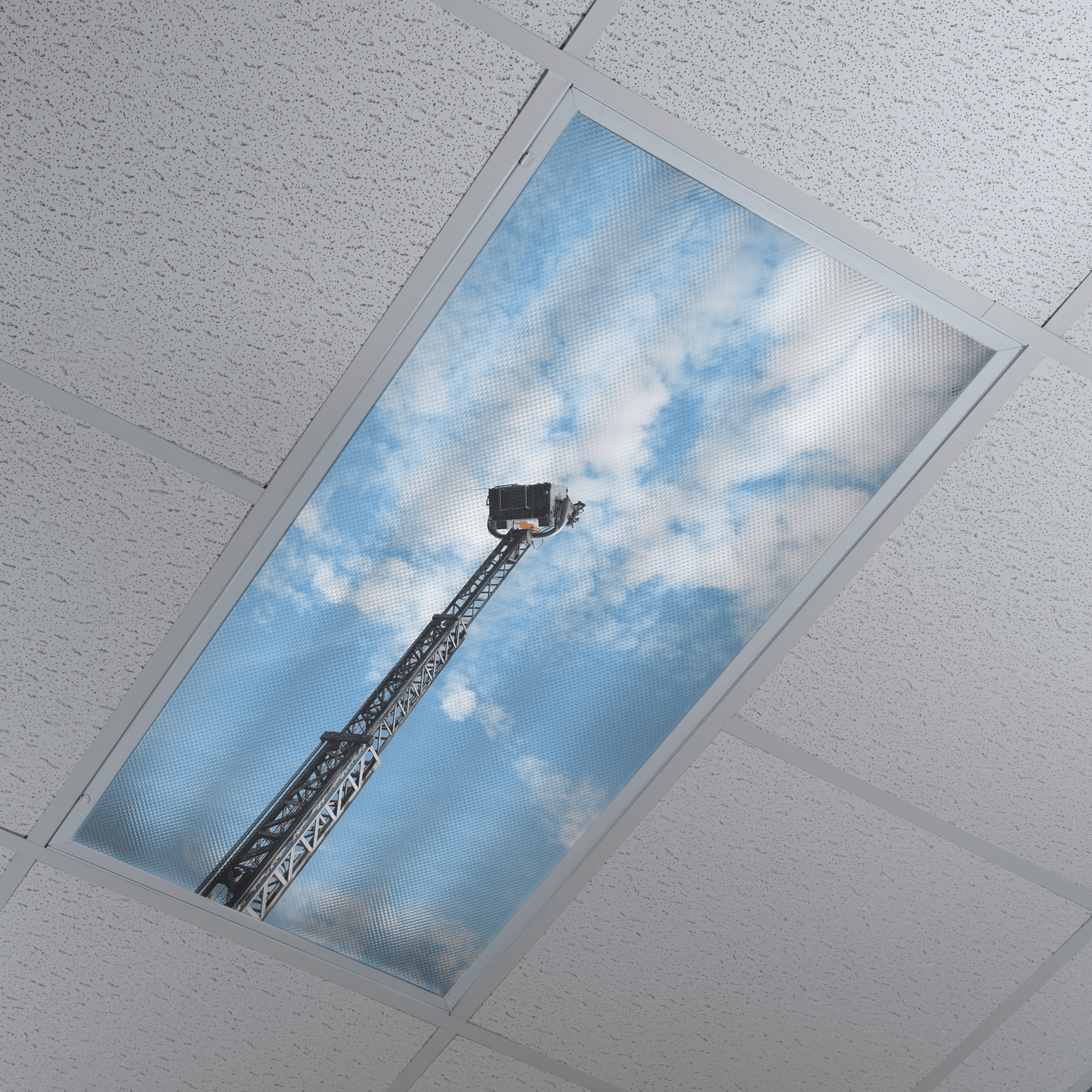 DesignScape - 2'x4' Cherry Picker - Apollo Design Made