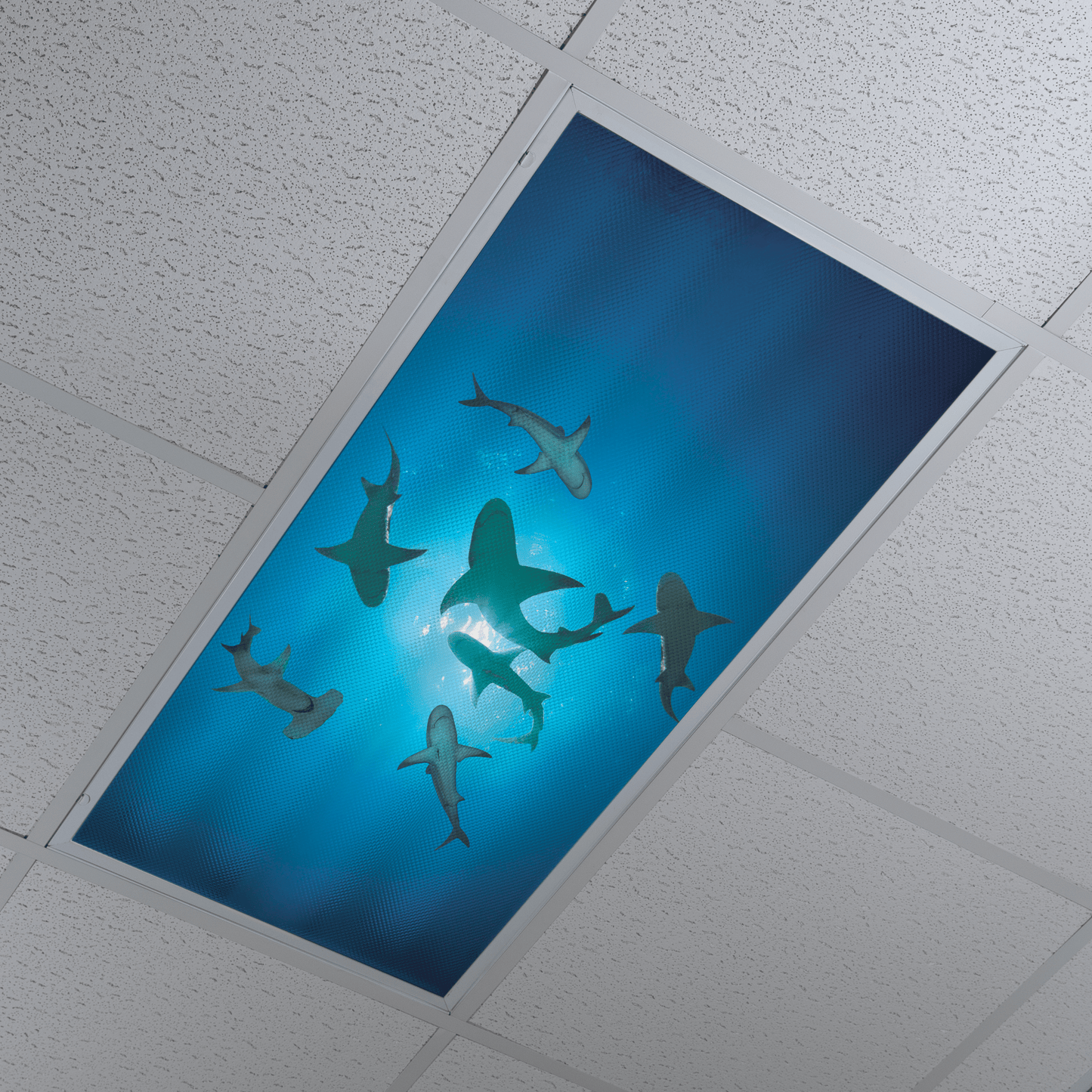 DesignScape - 2'x4' Circling Sharks - Apollo Design Made