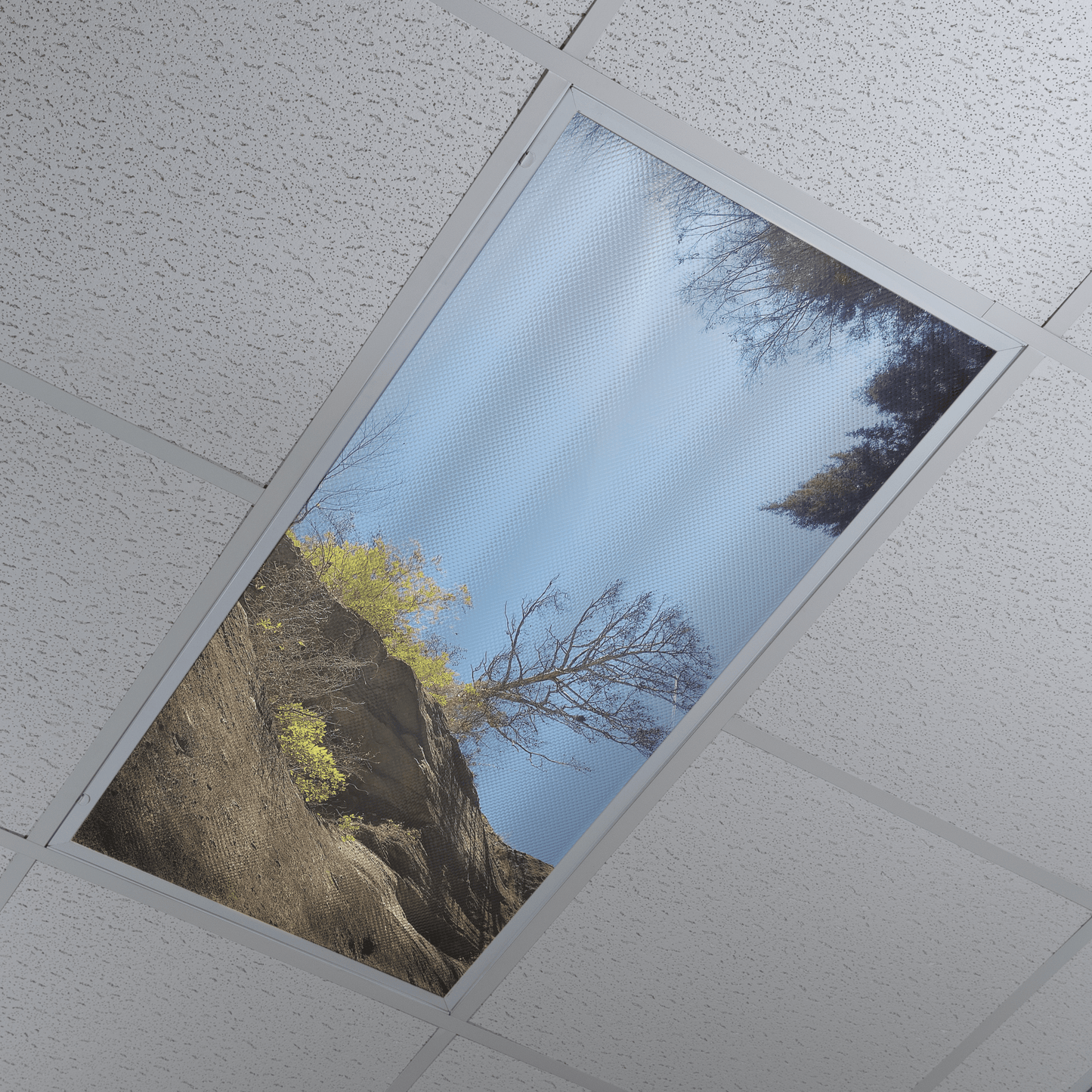 DesignScape - 2'x4' Cliff Walk - Apollo Design Made