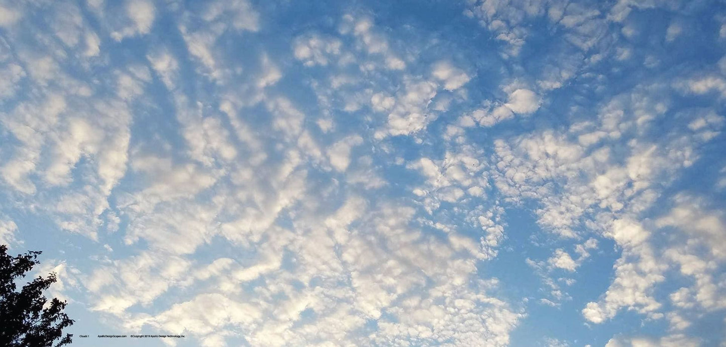 DesignScape - 2'x4' Clouds 1 - Apollo Design Made