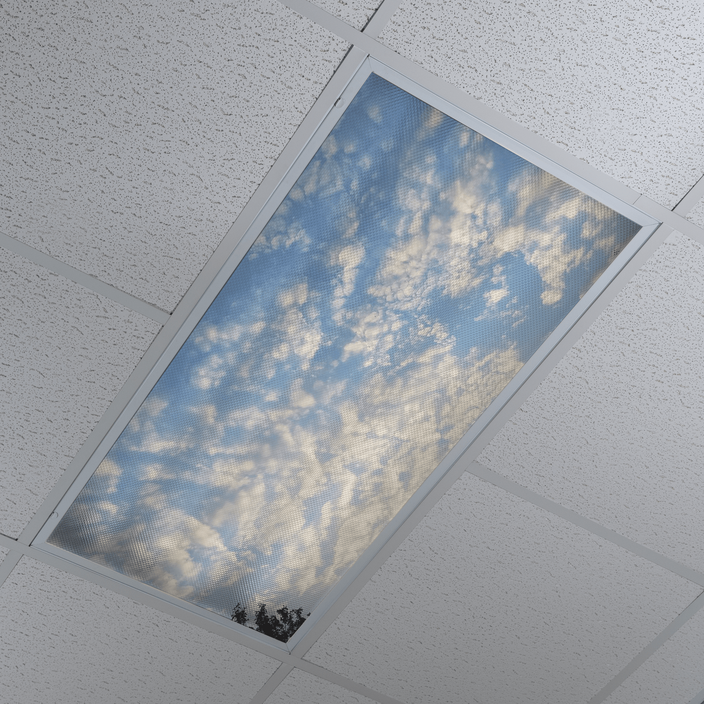 DesignScape - 2'x4' Clouds 1 - Apollo Design Made
