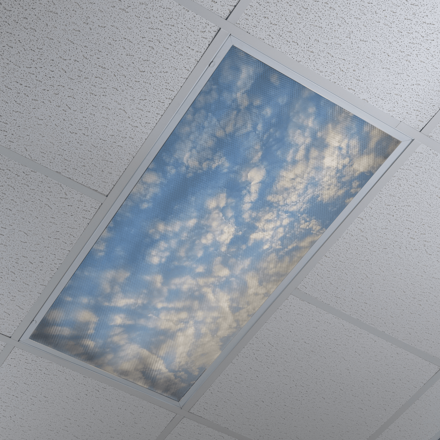 DesignScape - 2'x4' Clouds 2 - Apollo Design Made