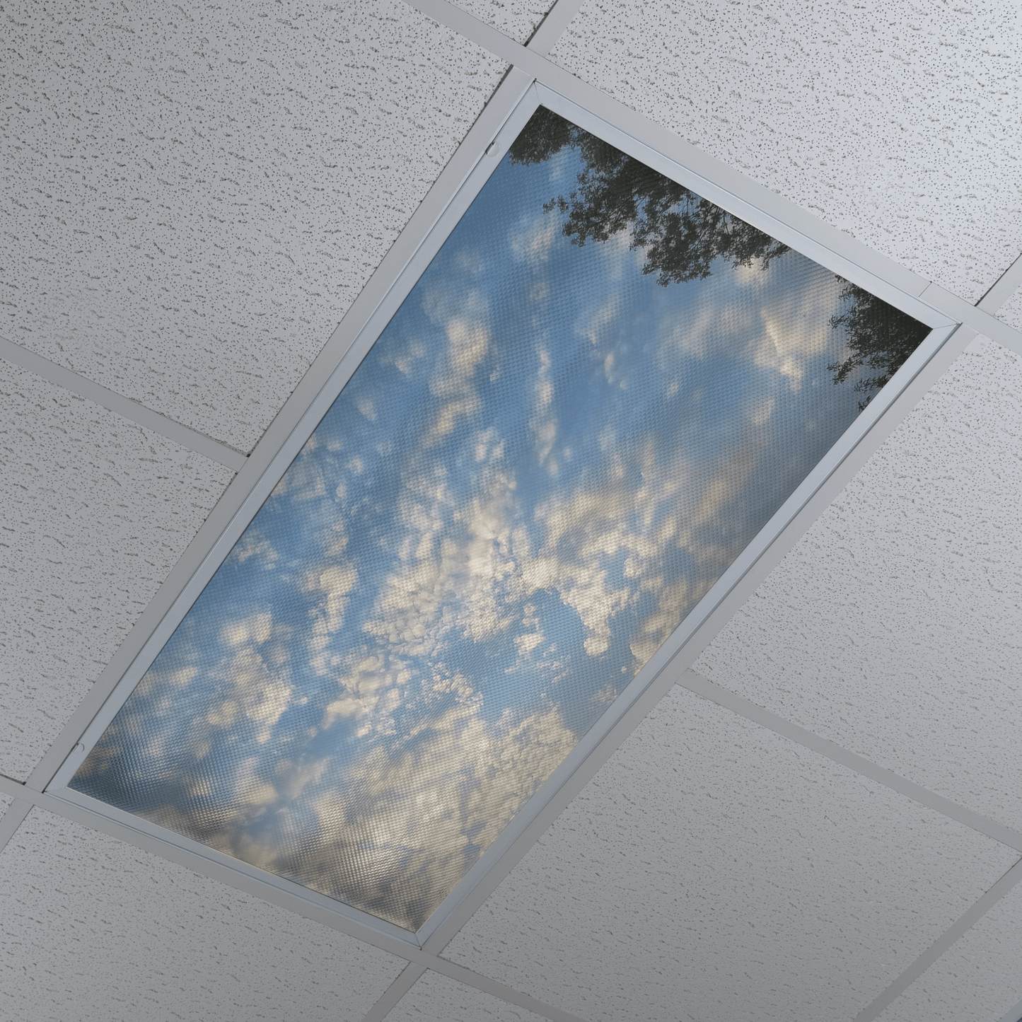 DesignScape - 2'x4' Clouds 3 - Apollo Design Made