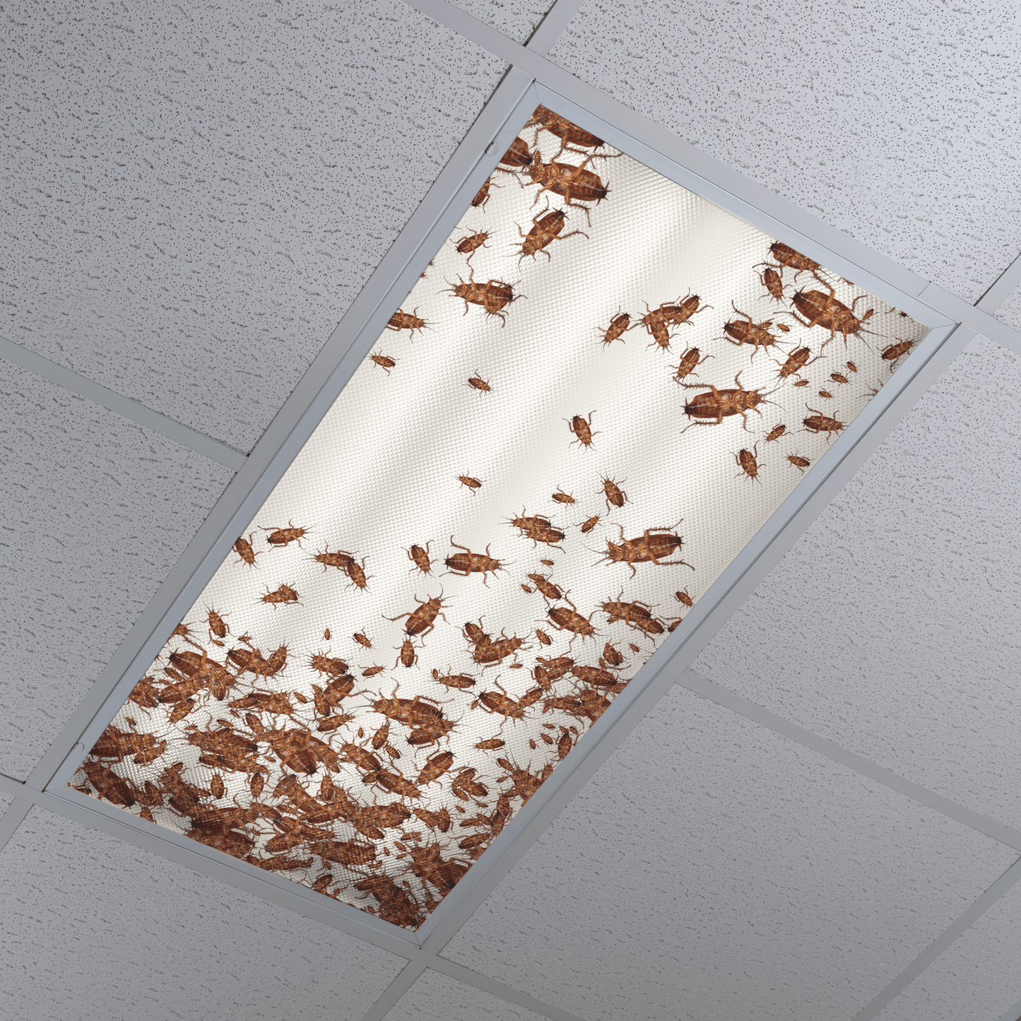 DesignScape - 2'x4' Cockroaches - Apollo Design Made