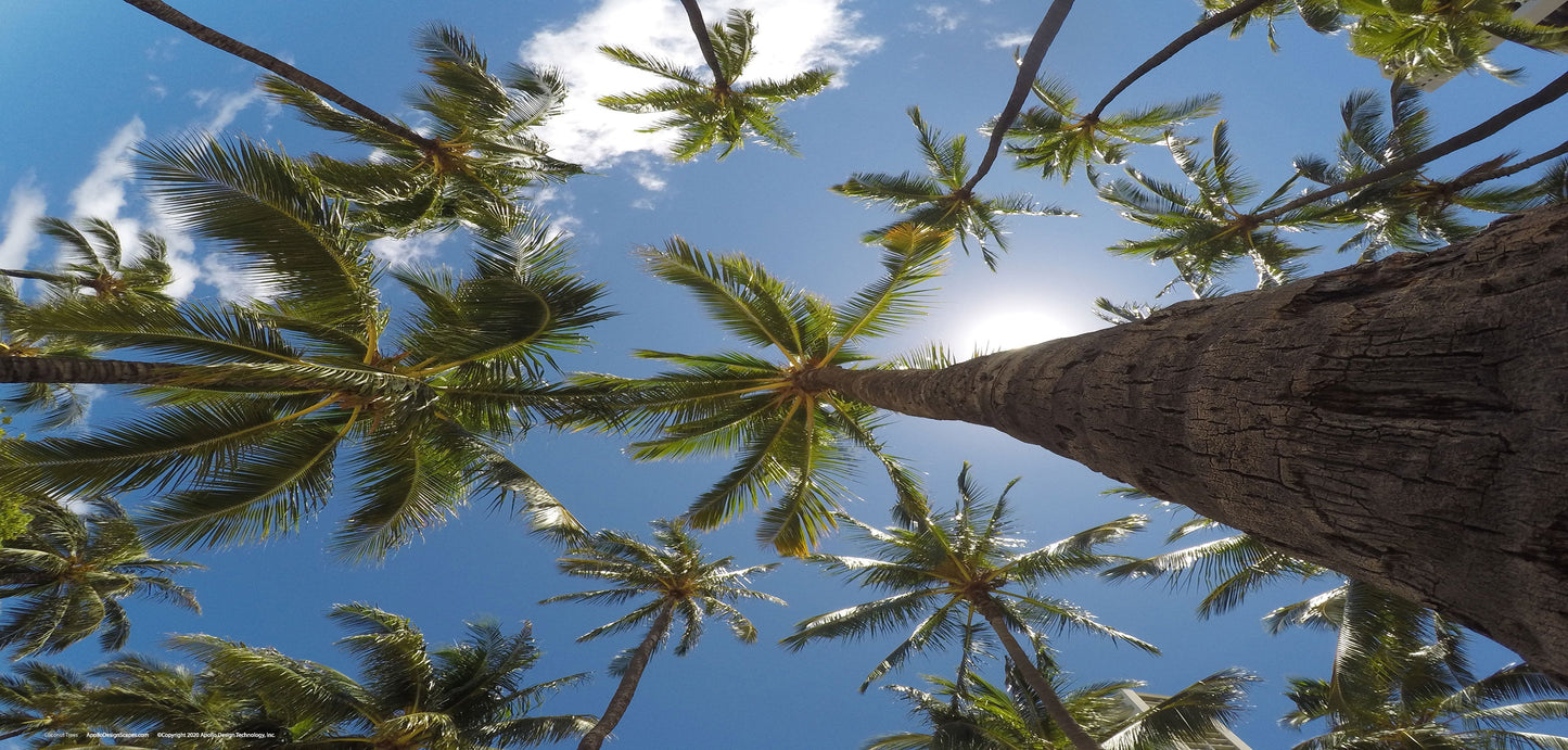 DesignScape - 2'x4' Coconut Trees - Apollo Design Made