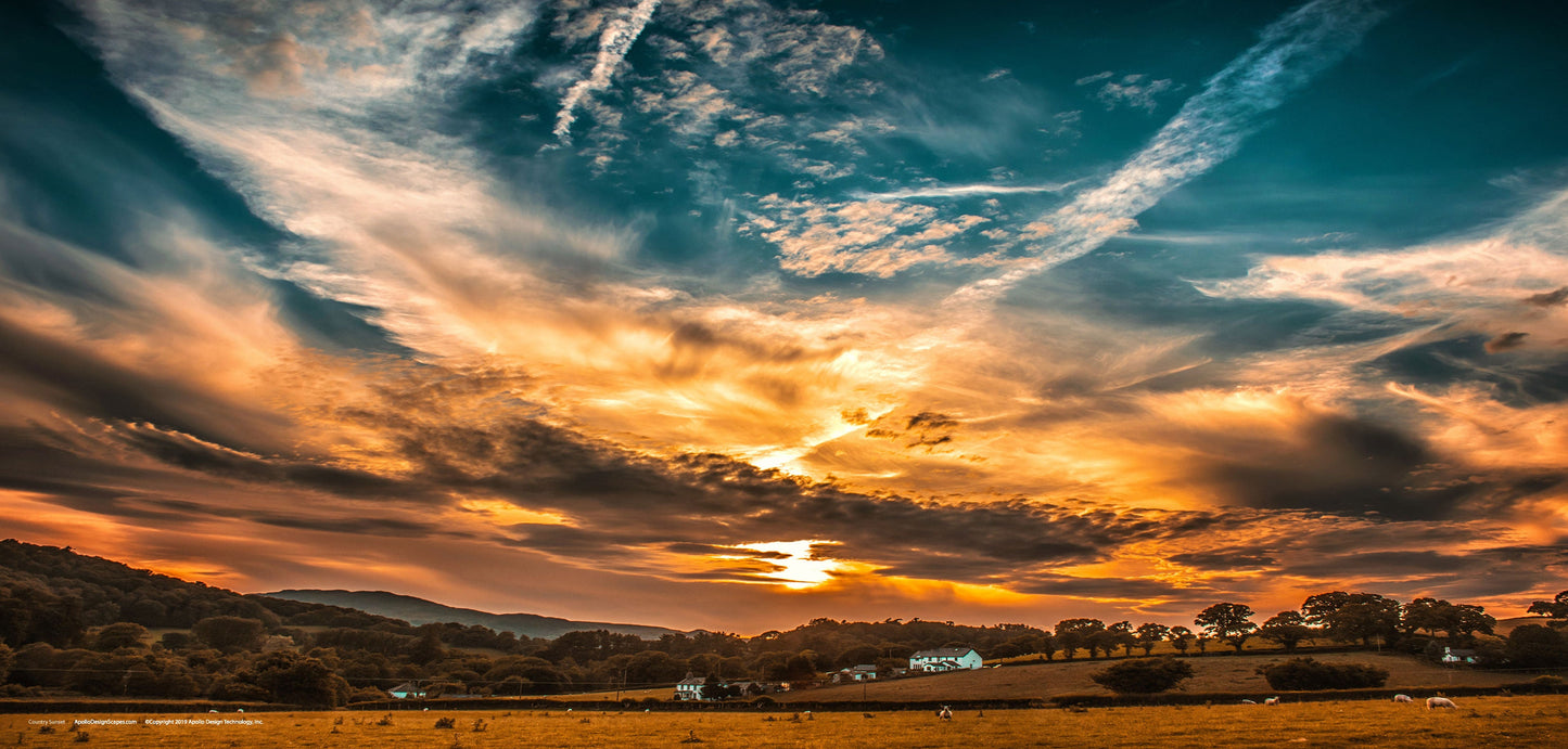 DesignScape - 2'x4' Country Sunset - Apollo Design Made