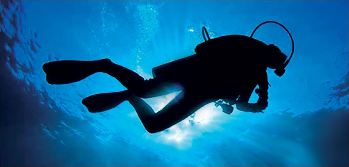 DesignScape - 2'x4' Diver - Apollo Design Made