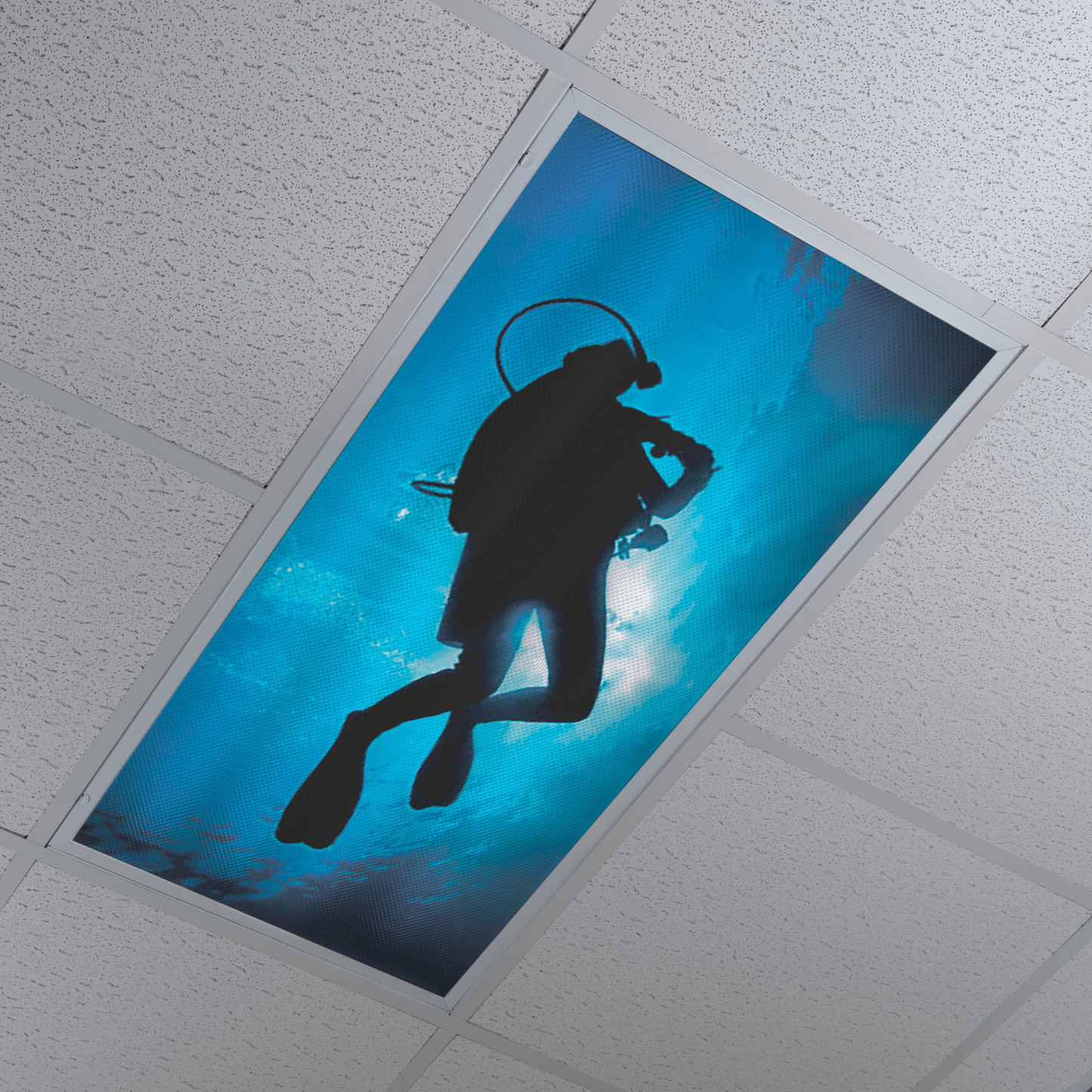 DesignScape - 2'x4' Diver - Apollo Design Made