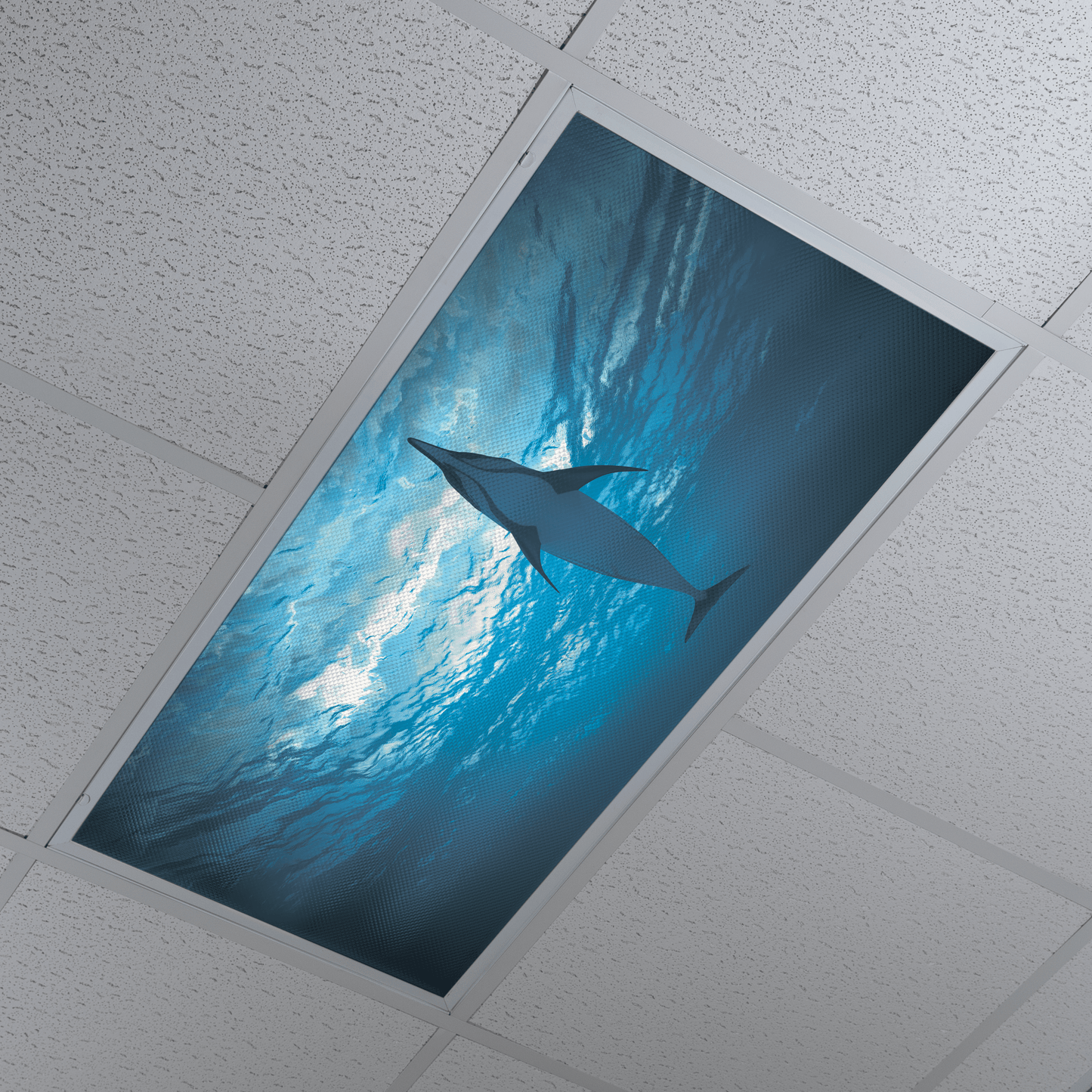 DesignScape - 2'x4' Dolphin 2 - Apollo Design Made