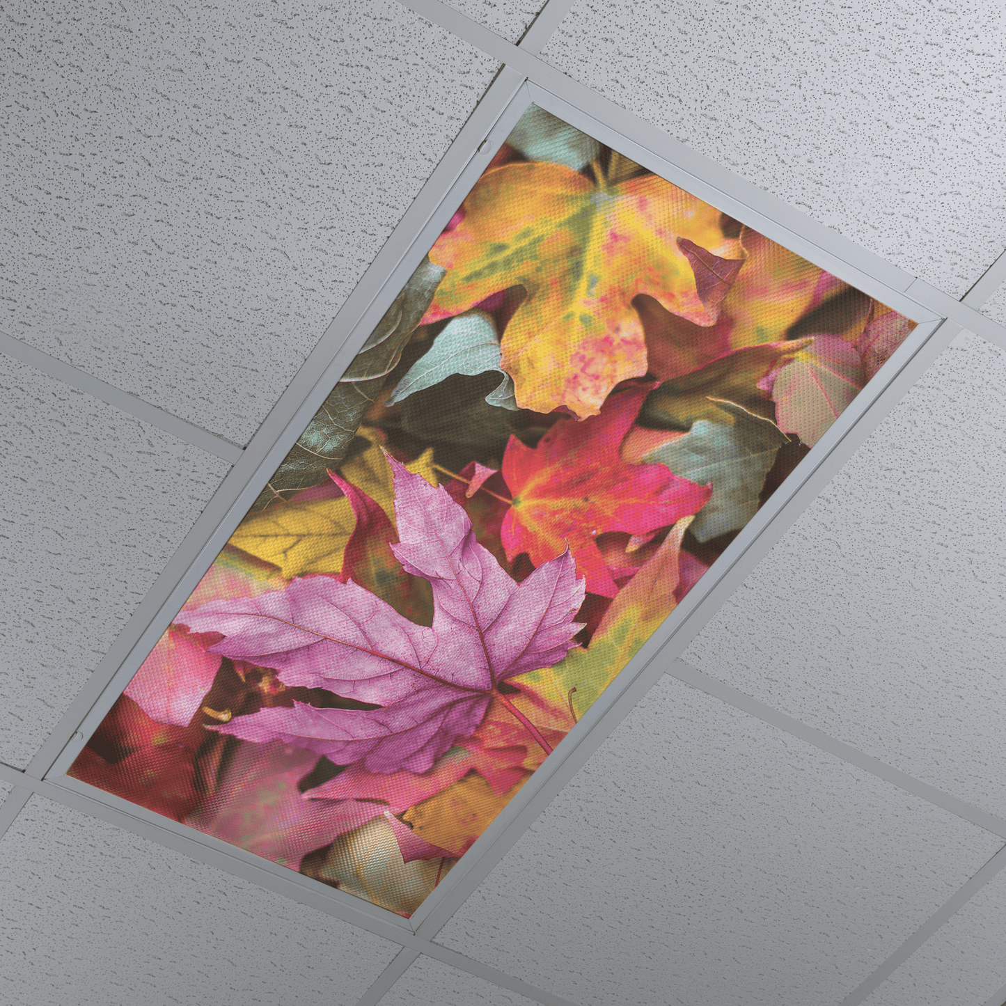 DesignScape - 2'x4' Fall Bright - Apollo Design Made