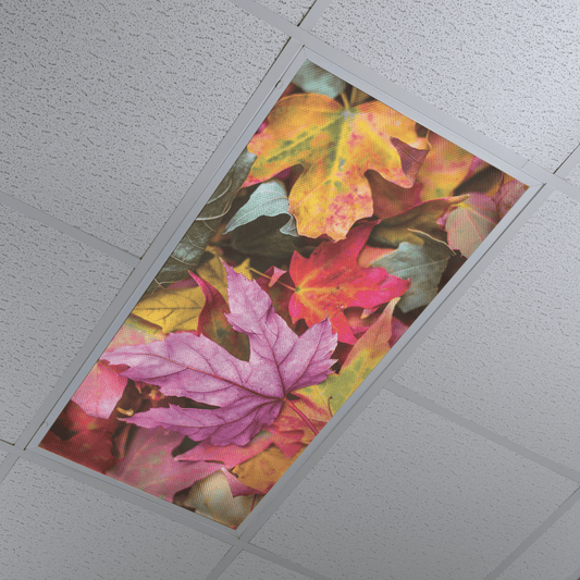 DesignScape - 2'x4' Fall Bright - Apollo Design Made