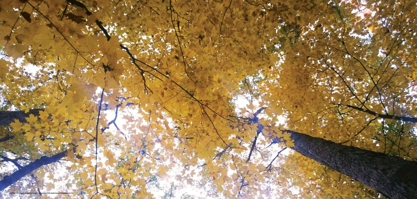DesignScape - 2'x4' Fall Day - Apollo Design Made