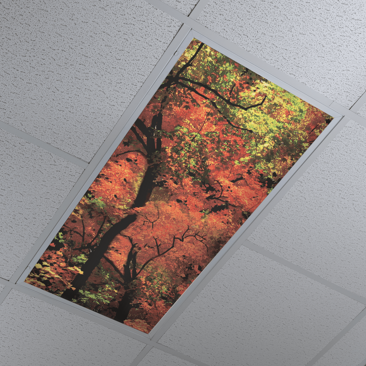 DesignScape - 2'x4' Fall Forest - Apollo Design Made
