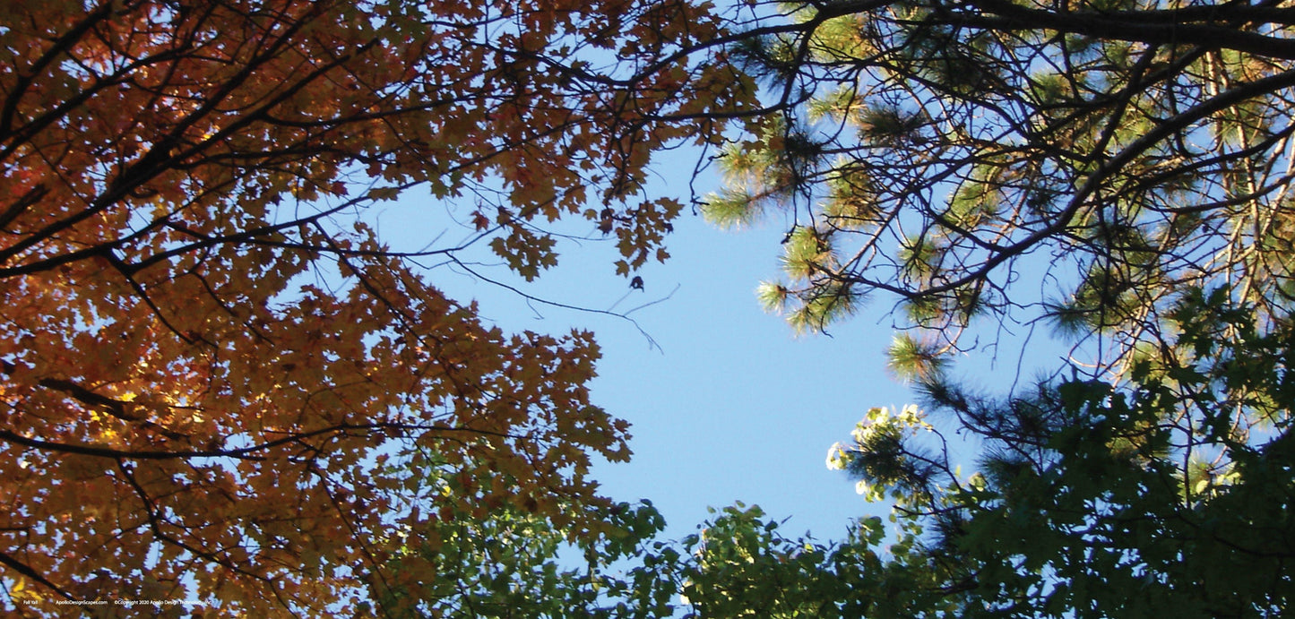 DesignScape - 2'x4' Fall Y'all - Apollo Design Made