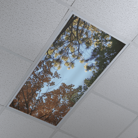 DesignScape - 2'x4' Fall Y'all - Apollo Design Made