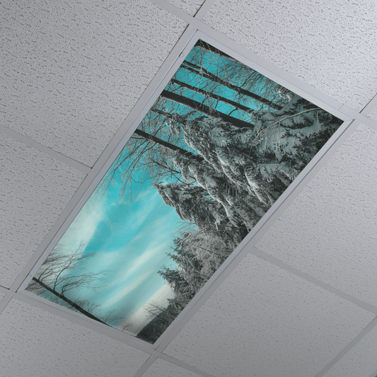DesignScape - 2'x4' Forest Snow - Apollo Design Made