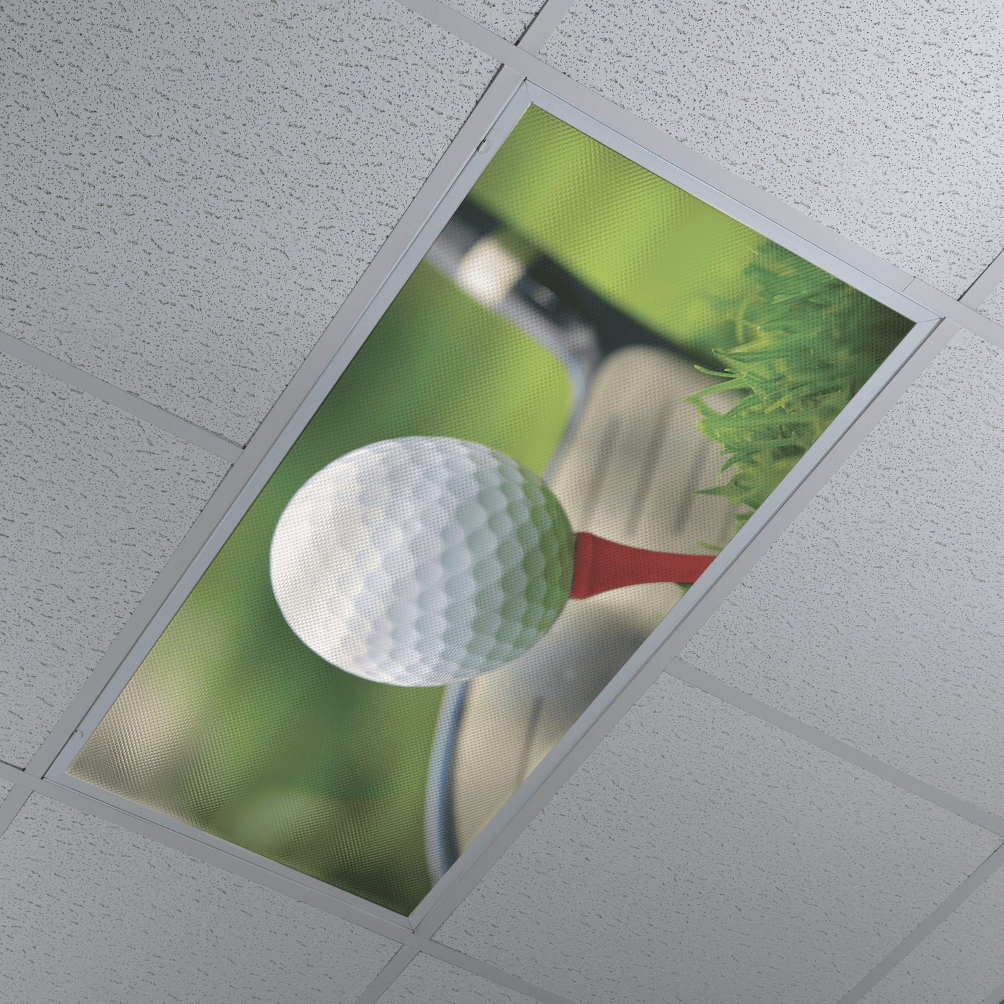 DesignScape - 2'x4' Golf - Apollo Design Made