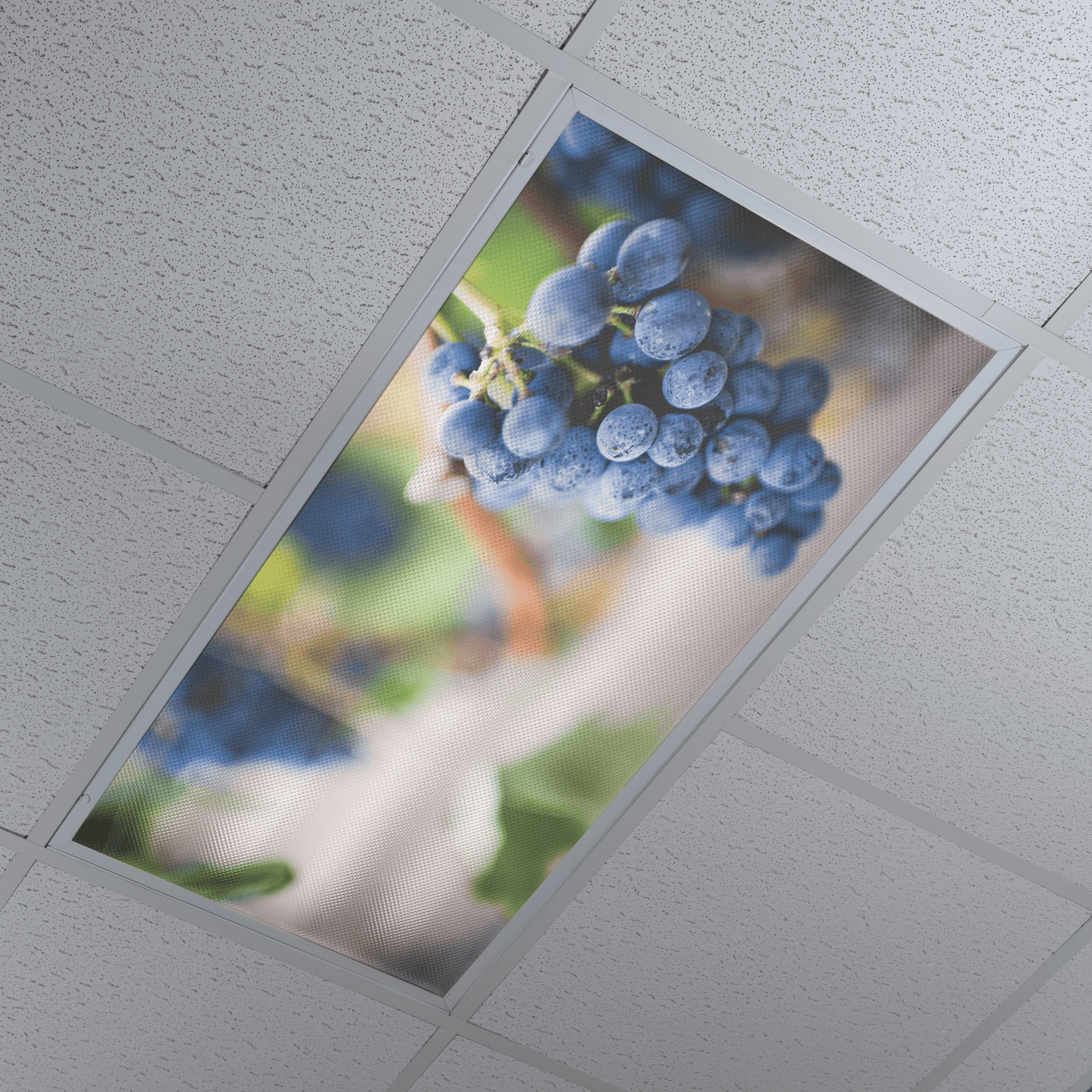DesignScape - 2'x4' Grapevine - Apollo Design Made