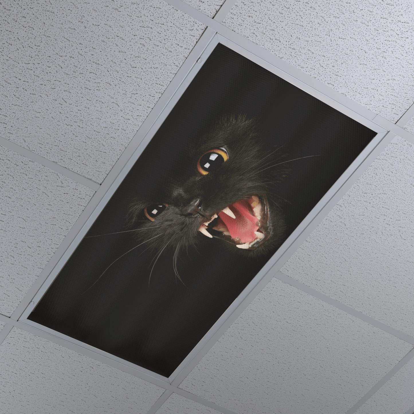DesignScape - 2'x4' Hissing Cat - Apollo Design Made