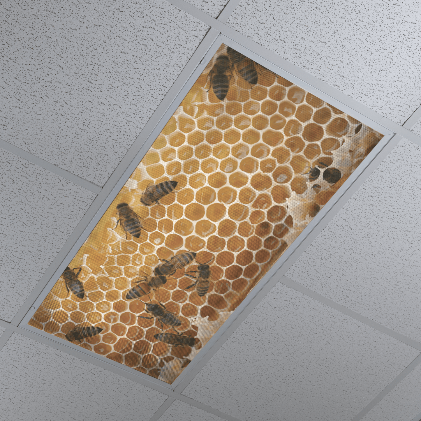 DesignScape - 2'x4' Honeycomb - Apollo Design Made