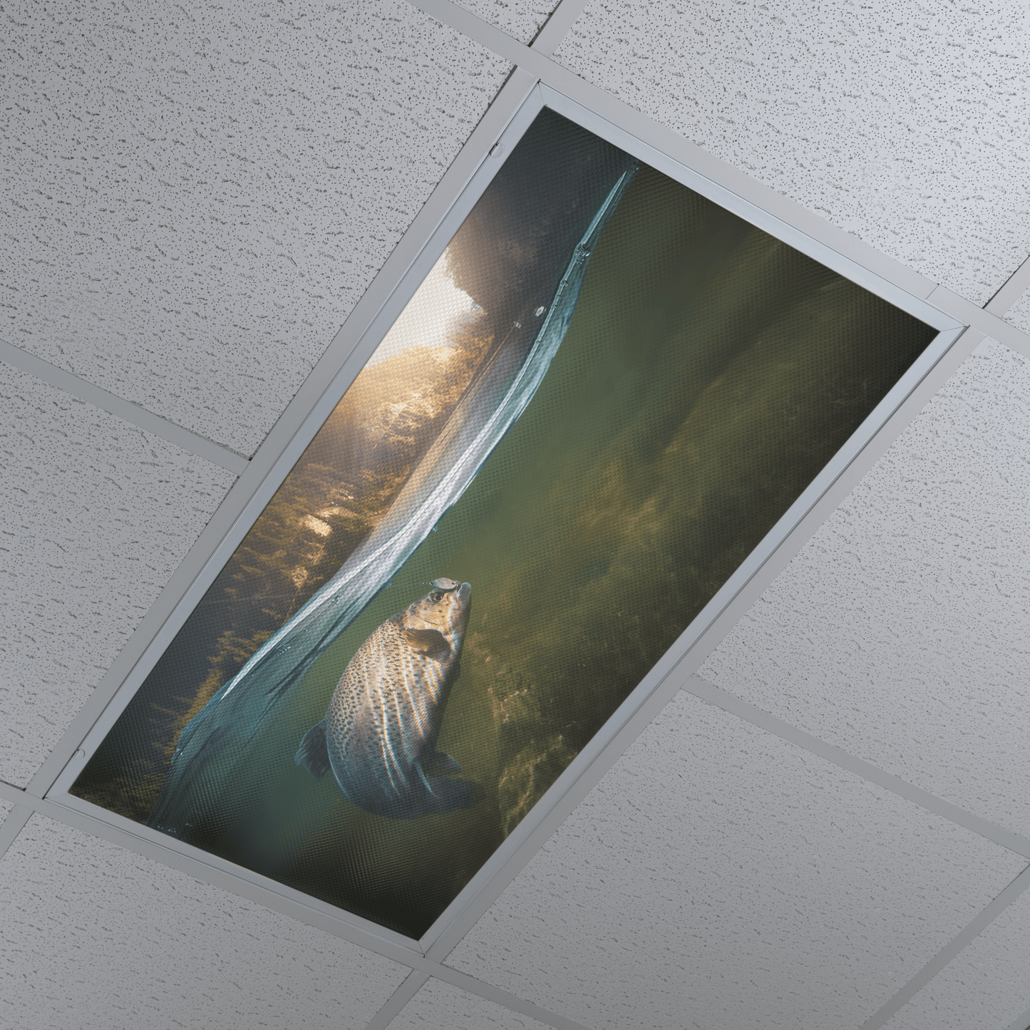 DesignScape - 2'x4' Hooked Up - Apollo Design Made