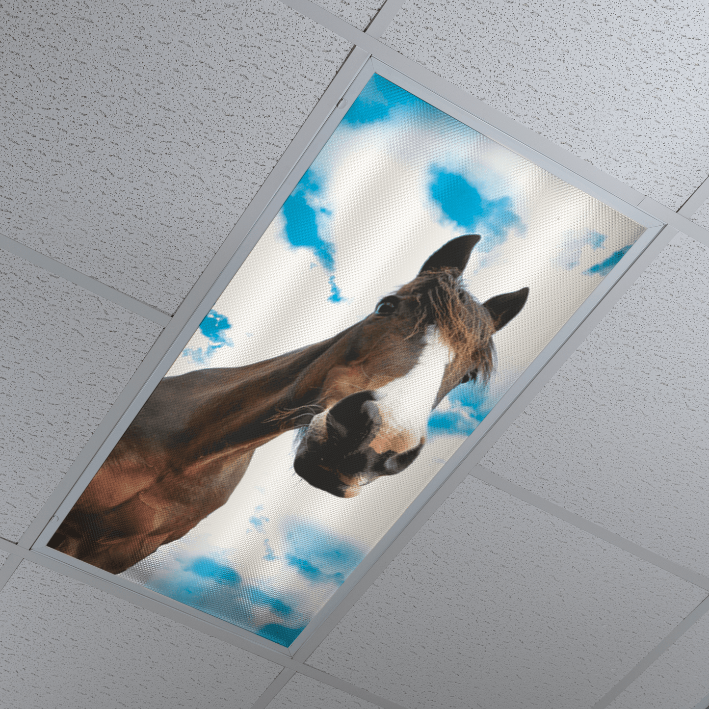 DesignScape - 2'x4' Horse Whisperer - Apollo Design Made