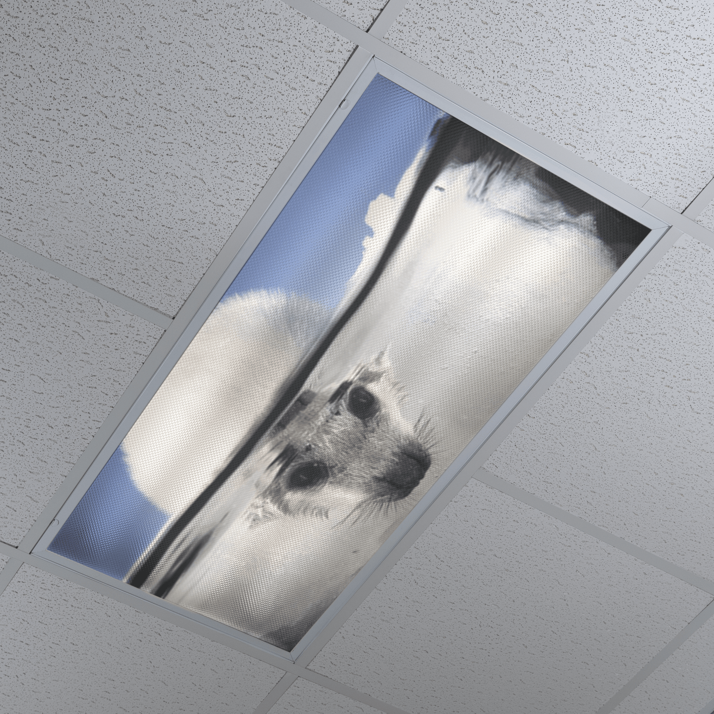 DesignScape - 2'x4' Icy Stare - Apollo Design Made
