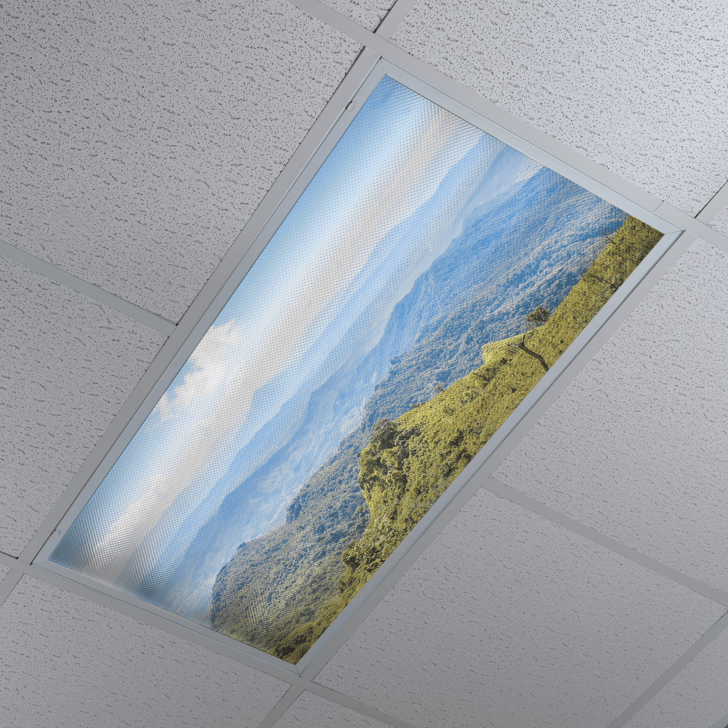 DesignScape - 2'x4' Infinite View - Apollo Design Made