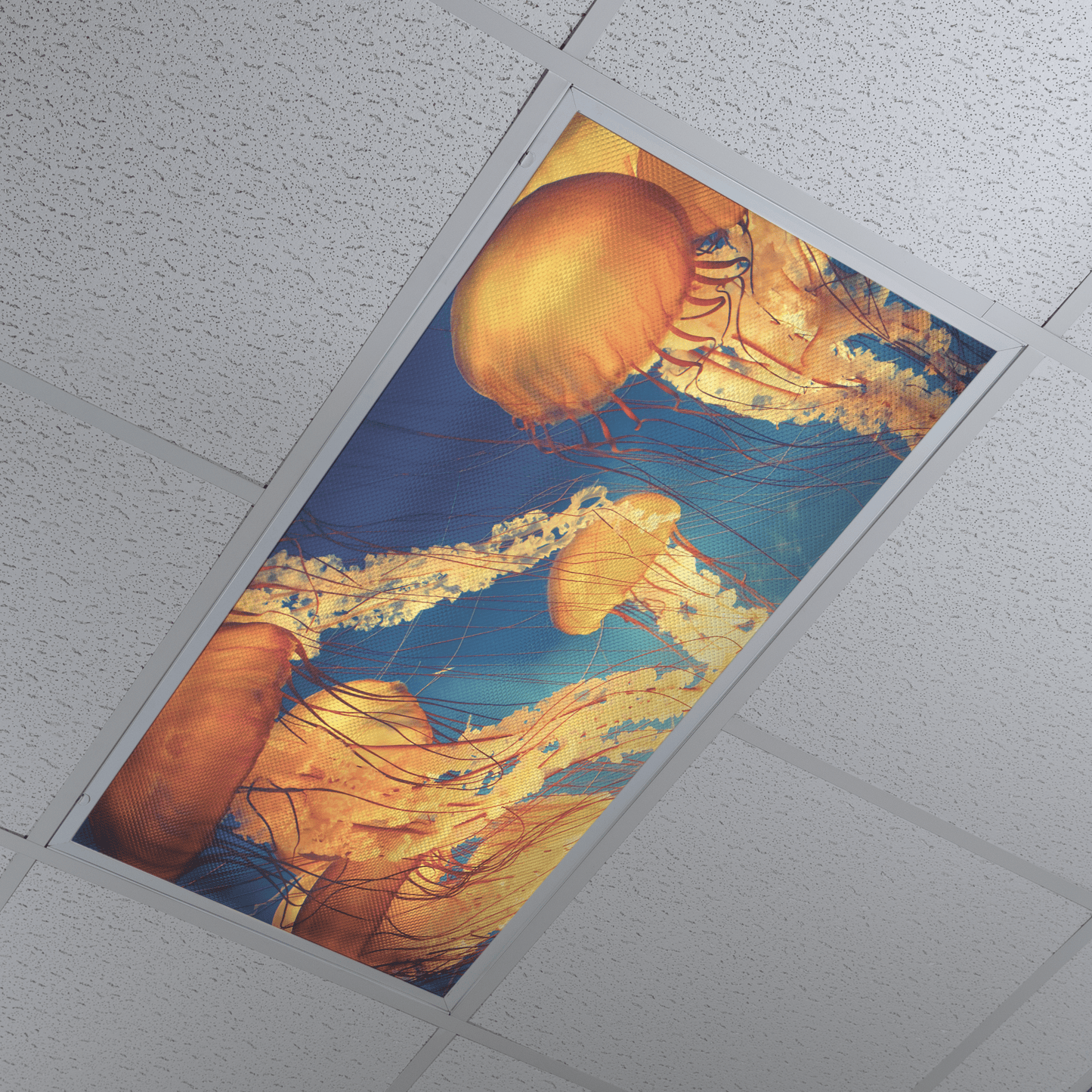 DesignScape - 2'x4' Jelly Fish - Apollo Design Made